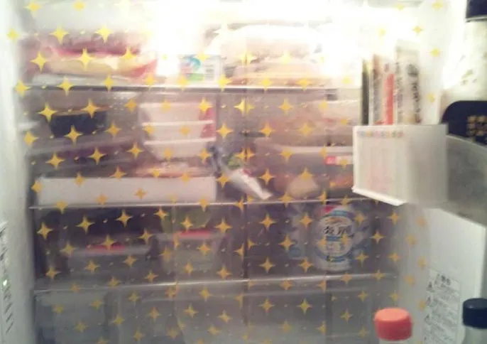 A refrigerator with a vinyl curtain