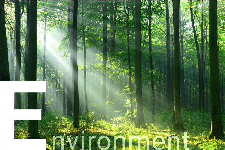 Environment