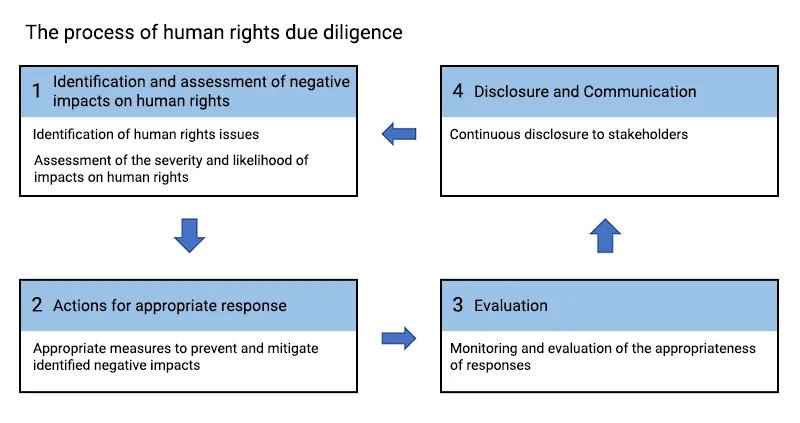 Human Rights Due Diligence Process
