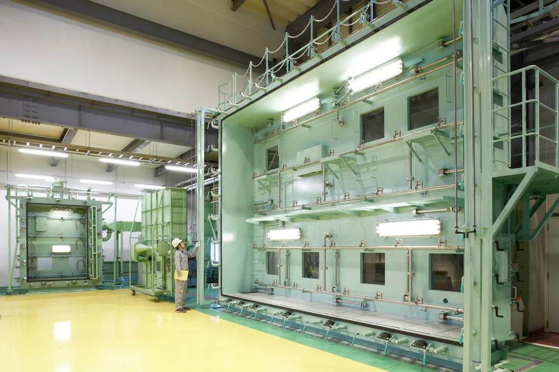 Large- and Small-scale Dynamic Wind Load Test Facility