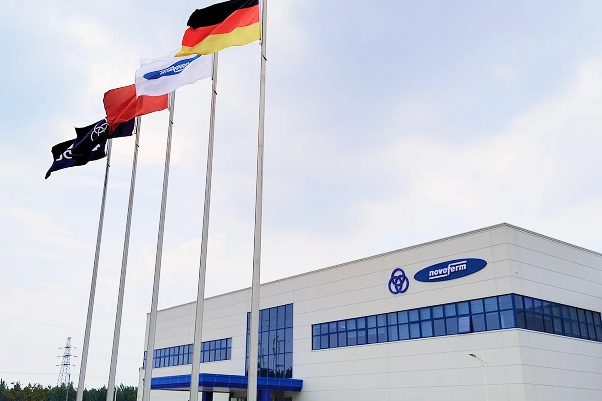 I believe it is a great advantage of global expansion to integrate merits of each local base.